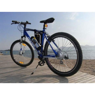 bicicletta elettrica, ATV Cross Country gigante