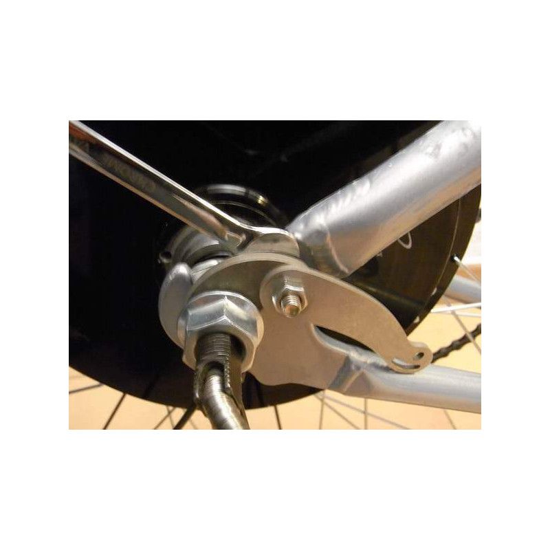 Beispiel de Montage d’un Torque arm Motor rh205s  1