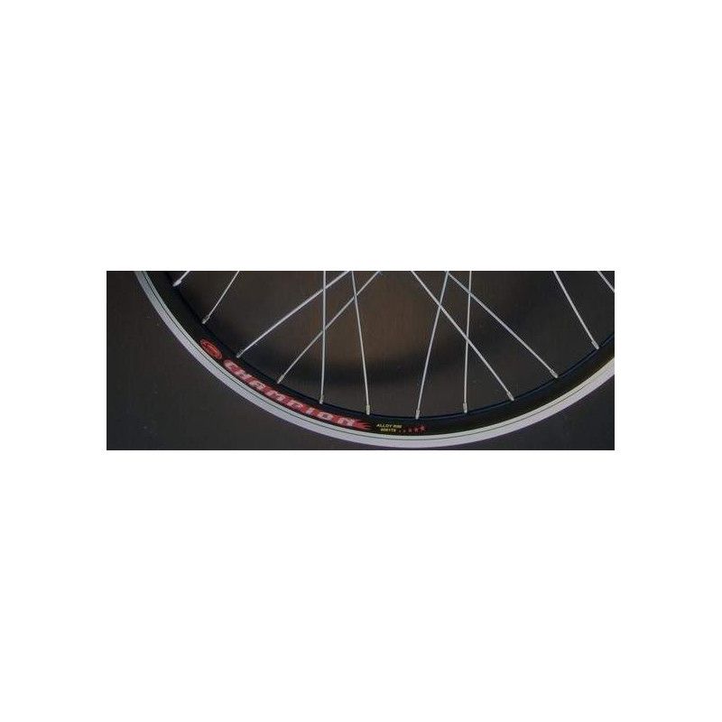 28 INCH ELECTRIC BIKE RIM 1