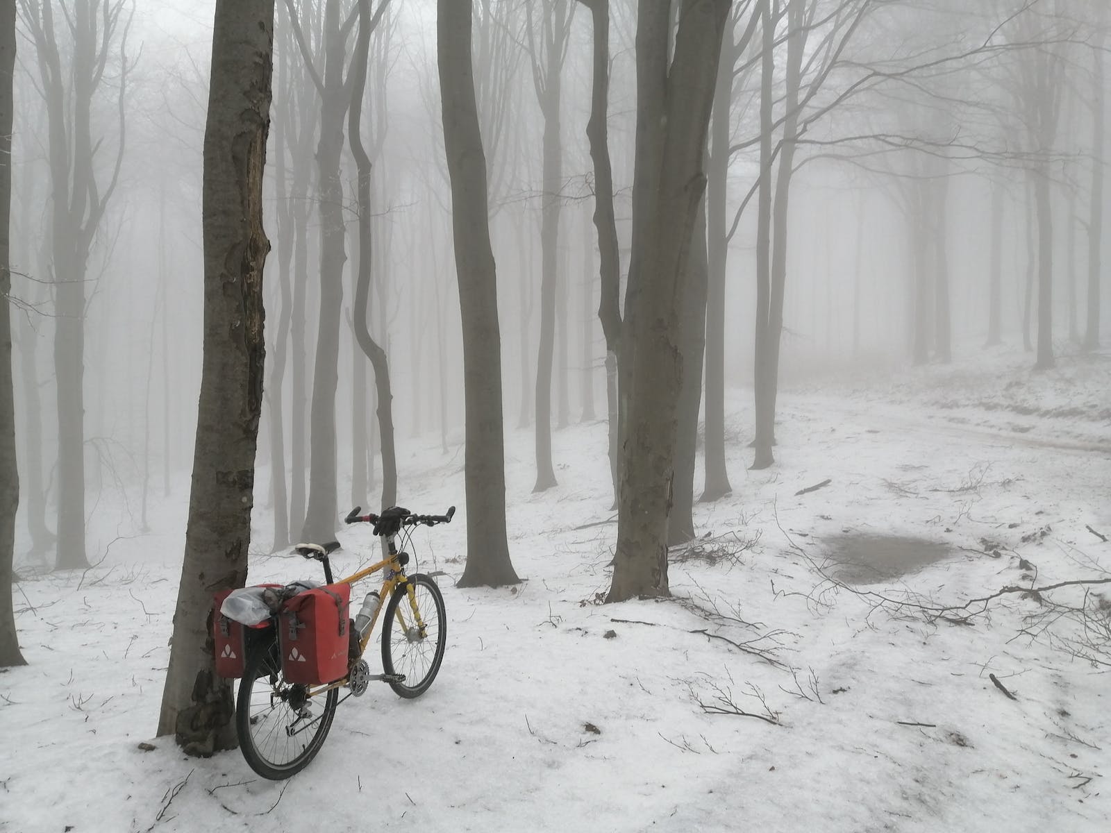 velo electrique hivers 1