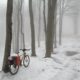 velo electrique hivers