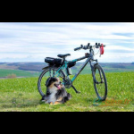 Les vélos électriques réalisés par nos clients 314 181.jpg