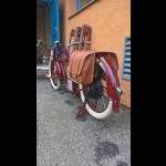 vélo électrique iNDIAN3.jpg